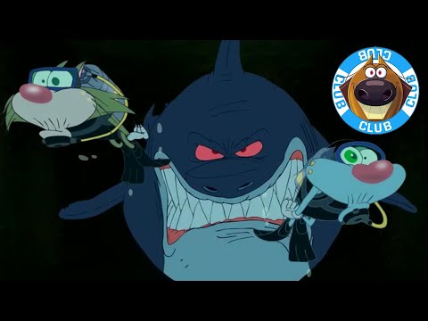Dangerous Encounter | Zig & Sharko's Club | Cartoon Collection | New Episodes in HD