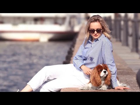 Что такое Кавалер Кинг Чарльз Спаниель? // честный обзор на породу