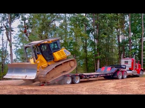 Logging Crew in Action | Hard Work in the Woods