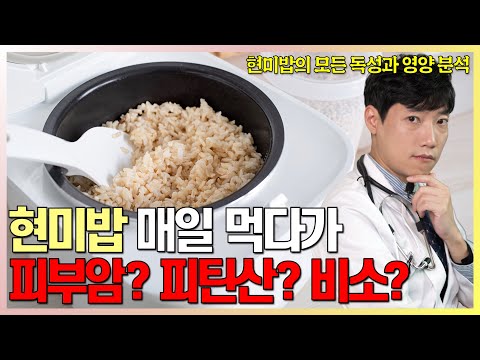 현미, 이렇게 드시면 독을 드시는 겁니다 l 안전하고 부드러운 현미밥 짓는 법 l 당뇨 환자와 쌀밥 l 닥터딩요