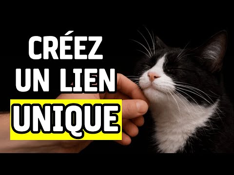 14 techniques secrètes pour créer un lien unique avec votre chat.