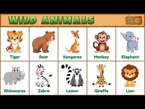 Learn Animal Names and Facts with 100 Wild Animals for Kids