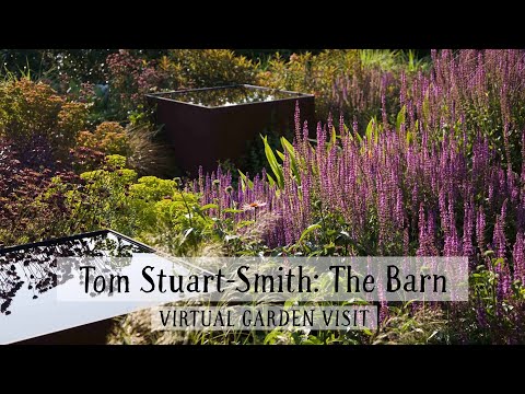 Tom Stuart-Smith: The Barn