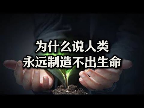 为啥说人类永远制造不出生命？心和脑谁才是第一驱动力？意识到底来自哪里？#心#大脑#意识#生命#佛法#12缘起