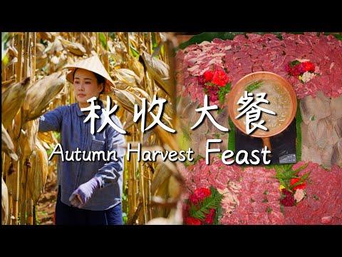 Harvest is tough work, so we have to eat well!【滇西小哥】
