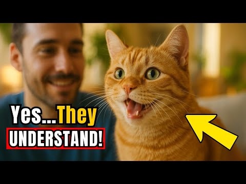 The RIGHT Way to Talk to Your Cat (Yes, They Understand!)