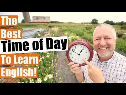 The Best Time of Day to Learn English