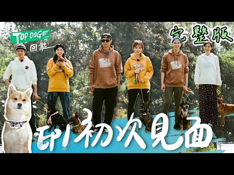 EP1 完整版SUB|與浪浪初次見面 羅志祥又愛又崩潰的寵物實境秀 胡宇威軍事化訓練 要教出最完美的夥伴 魏蔓第一次當新手媽媽 小小狗真的太可愛|TOP DOG回家