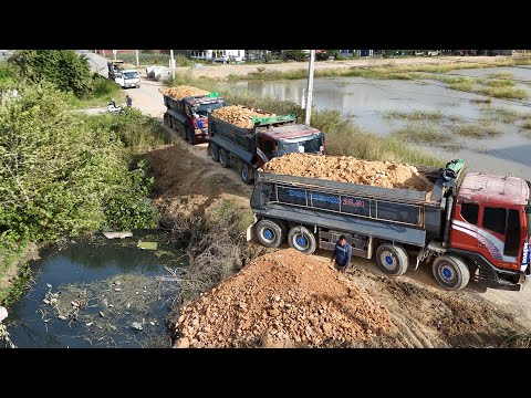 Excellent !! Nicely filling soil using 25.5-ton truck and Great Bulldozer Pushing