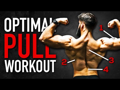 The SMARTEST PULL Workout for MUSCLE GROWTH (Science-Based)