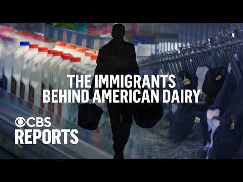 The Price of Milk: Immigrants Behind American Dairy | CBS Reports