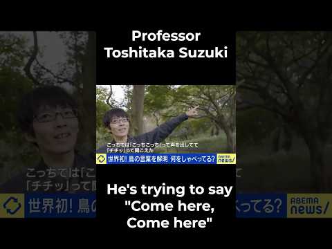 Bird Communication is More Complex Than You Think #animalcommunication #linguistics #birds #nature