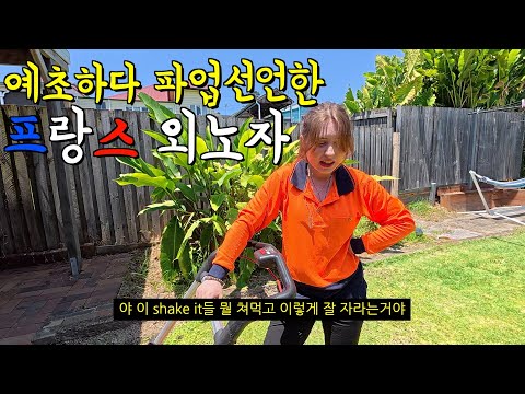 프랑스 아내에게 예초를 시켰더니 파업을 해버렸다 ㅋㅋ