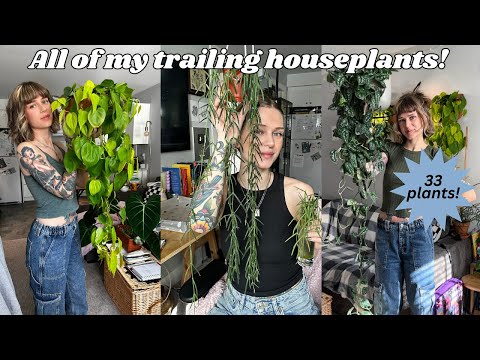 my huge indoor trailing plant collection! 33 species with tips and tricks 🌿