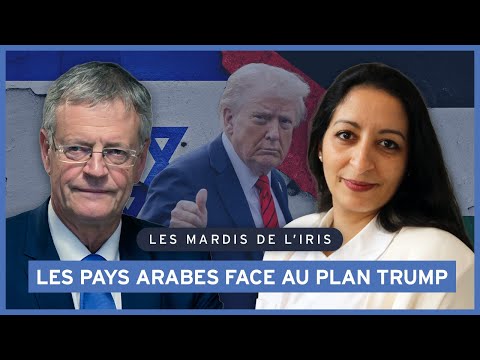 Les pays arabes face au plan Trump | Les mardis de l'IRIS