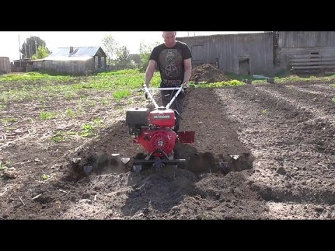 Crowfoot tillers for the BRIGHT 135 walk-behind tractor. We cultivate a vegetable garden for pota...