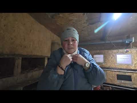 Обзор нашего хозяйства