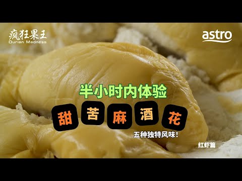 红虾榴梿能让你在半小时内体验甜、苦、酒、花、麻 ，五种独特风味！｜《疯狂果王》 Durian Madness EP5