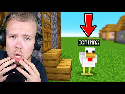 Extrem Tier Hide & Seek in Minecraft!