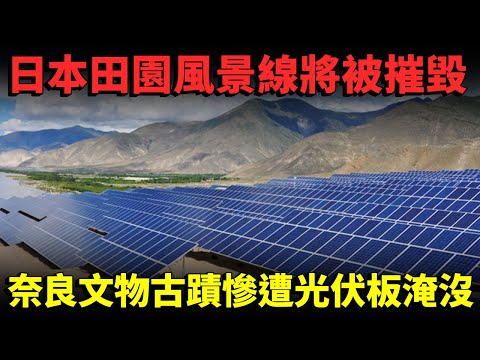 日本田園風景遭受摧毀！奈良縣文物古蹟慘遭太陽能電板淹沒！大型光伏板發電站令到大量野生熊出沒市區？