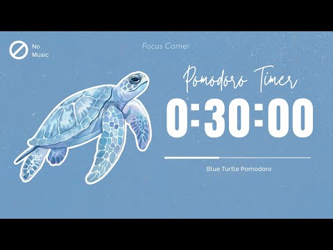30 Minute Study Timer + 5 Minute Break | Blue Turtle Sea Pomodoro Timer