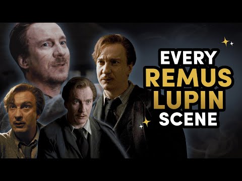 Every Remus Lupin Scene