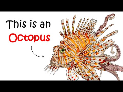 Why It Sucks to Be Born as a Mimic Octopus
