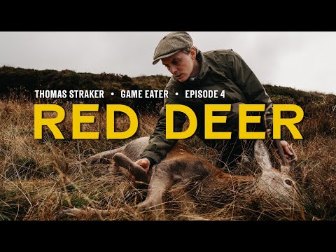 Stalking and Cooking Red Deer in Scotland