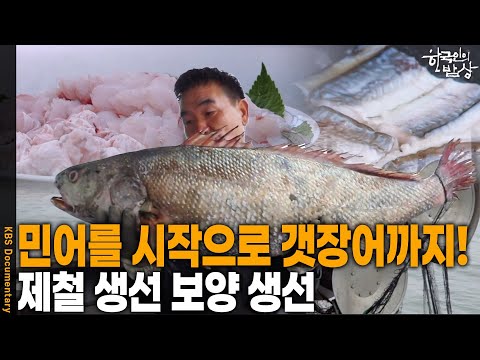 역대 최고 더위를 달래줄 음식! 민어, 농어, 갯장어까지~ 오늘은 뭐 먹지?? | KBS 20250724 방송