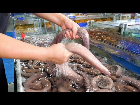 Street Food Collection in Da Nang and Dalat, Vietnam