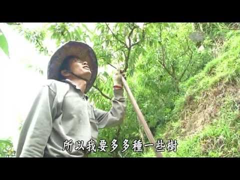 【農夫與他的田】20140906  - 國姓原生愛玉