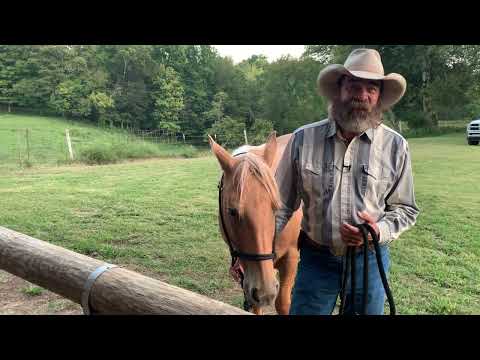 Remove the Bad and Add the Good