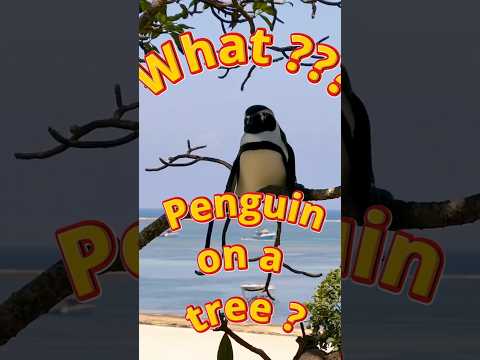 These AI Effects Are Actually Insane #Pika #AI #Shorts