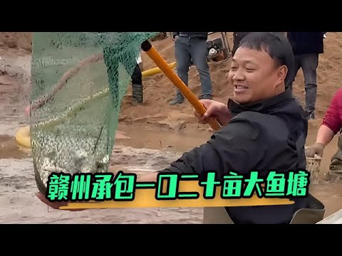 和粉絲合夥花500塊在贛州承包下壹口二十畝的大魚塘,今天抓魚都賺麻了#戶外 #大表哥