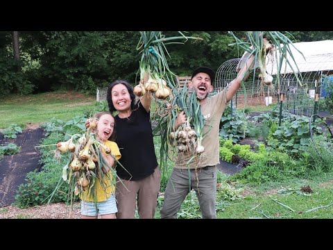 Our Last Year Here/ 2021 year in Review