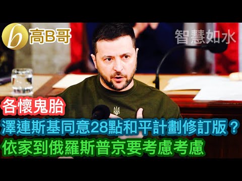 Zelensky agrees to the revised version of the 28-point peace plan? Now to Russia Putin has to con...