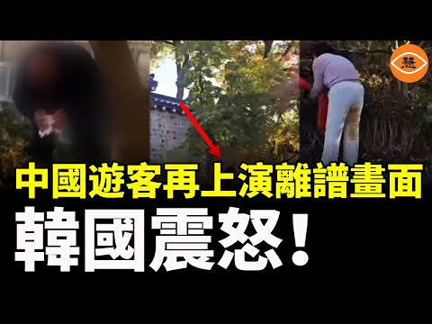 Chinese tourists have once again created outrageous scenes, infuriating South Korea!