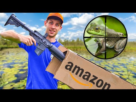 Bullfrog Hunting with Amazon's Cheapest AR!
