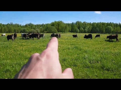 Открываем пастбищный сезон 2025