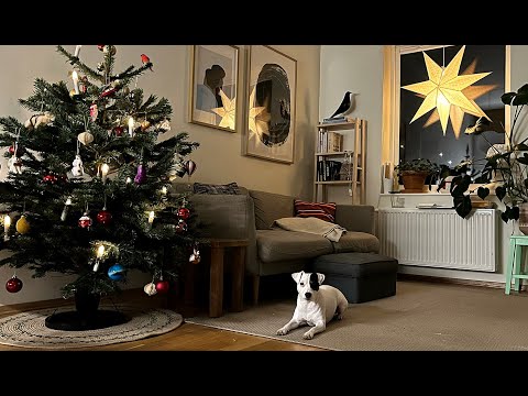 A simple Nordic Christmas / Oslo Vlog