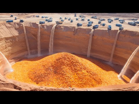 Arrojar Millones de Toneladas de Cáscaras de Naranja Bajo el Desierto del Sáhara lo Cambiará Todo