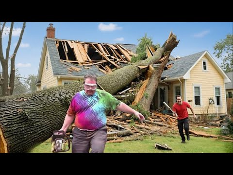 Foolish Chainsaw Workers & Extreme Logging Truck Disasters | Unbelievably Dangerous Forest Moments