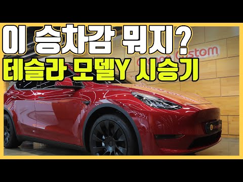 모델Y 샀어요. 근데 승차감이? 구매 전 꼭 보실 영상!