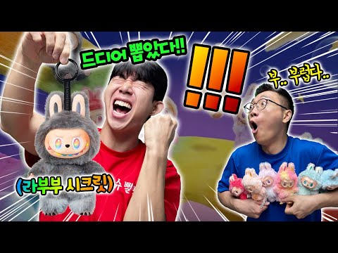 정품 라부부 개봉했는데 이 회색이 좋은거라고?! 시크릿?!