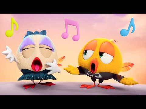 Opera Stars | Where's Chicky? | Cartoon Collection in English for Kids | New episodes