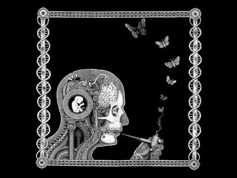 DMT Entities w/ David Luke