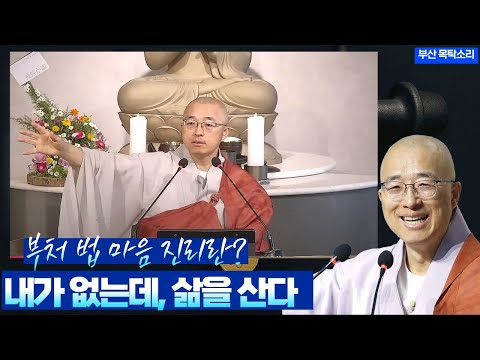 [황벽44] 부처, 법, 마음, 진리, 이것은 무엇인가, 내가 보고 듣는 것이 맞아?