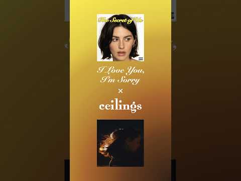 I Love You, I'm Sorry x ceilings - Gracie Abrams x Lizzy McAlpine (Mashup) #thesecretofus #tsou