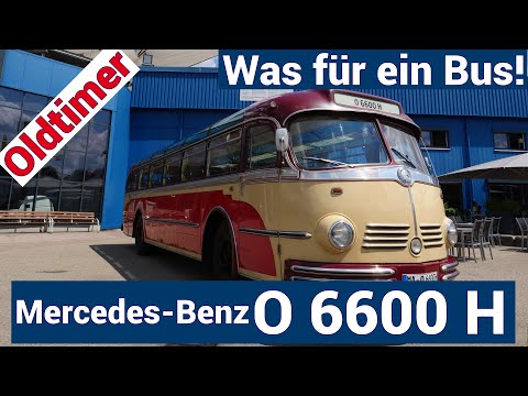Der Mercedes-Benz O 6600 H - Was für ein Bus!