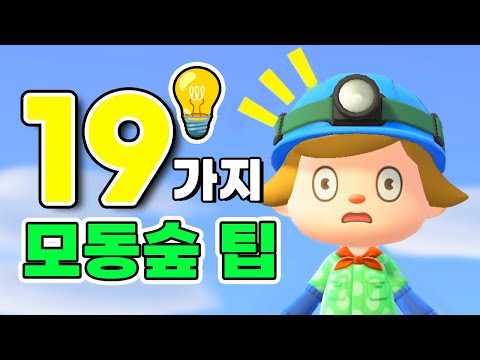 Acnh Tips You Didn't Know Part 2 🍯 Beginner, Antiquities Druwadruwa